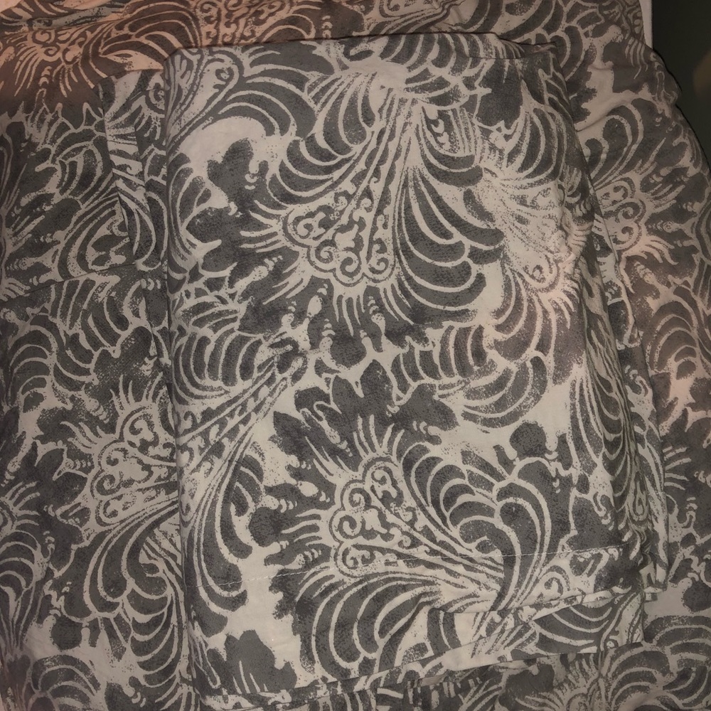 Pottery Barn Queen Duvet Cover and 2 Queens Shams